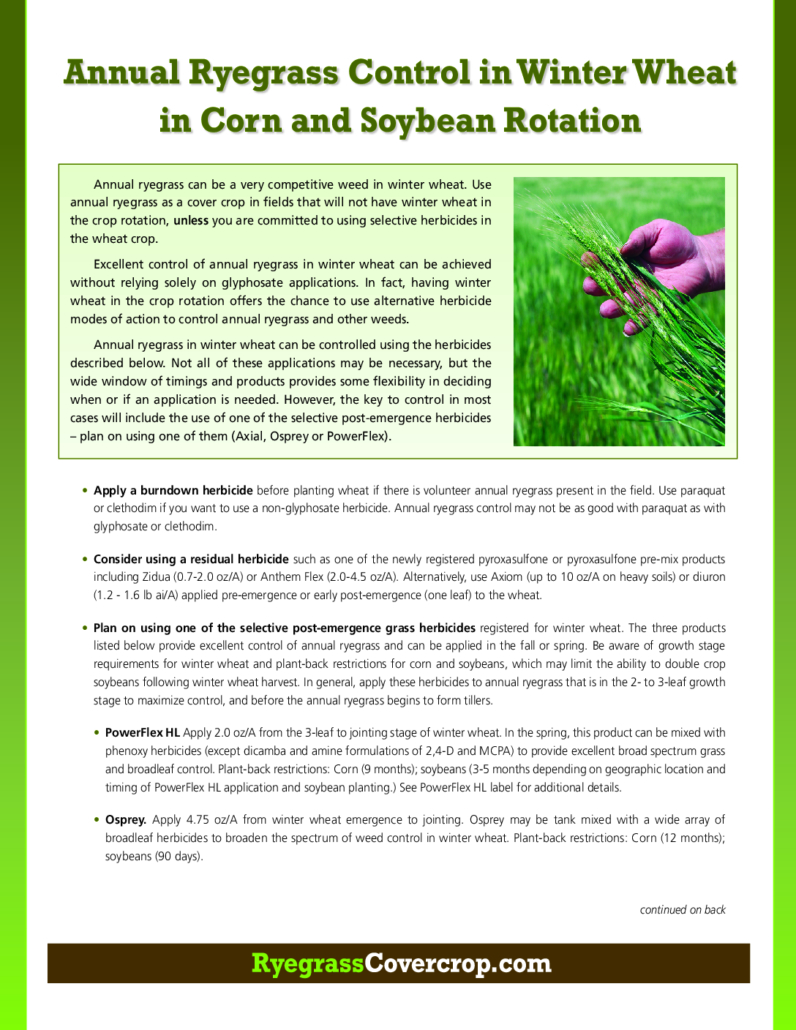 thumbnail of Annual Ryegrass Control in Winter Wheat in Corn and Soybean Rotation