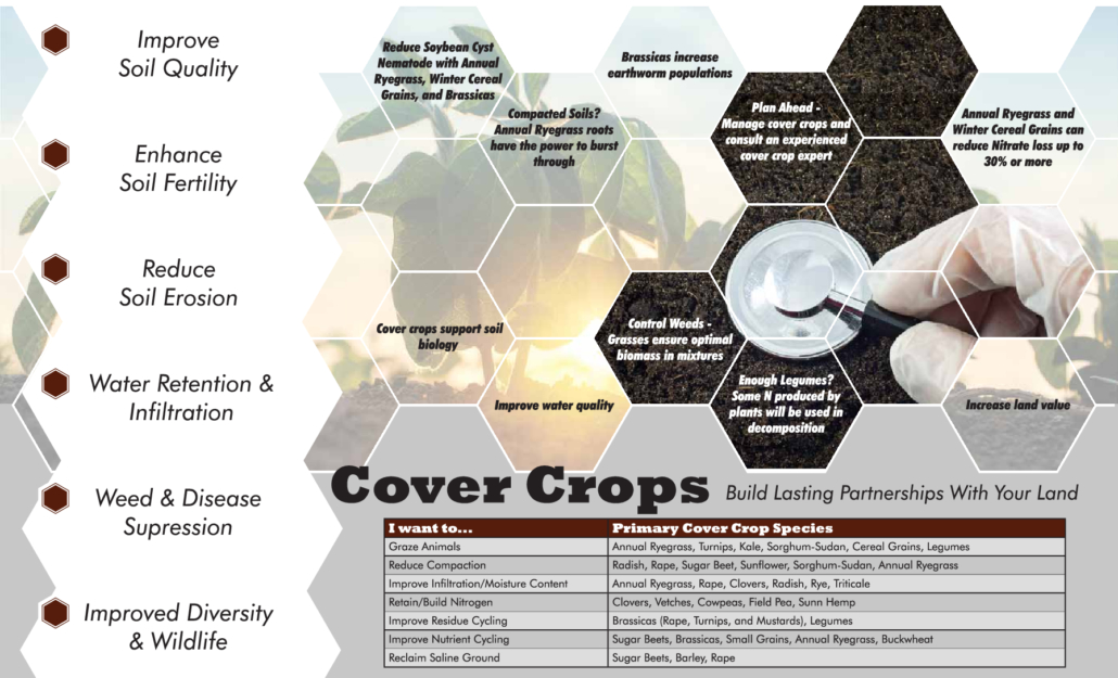 thumbnail of Bio Till Cover Crops Brochure