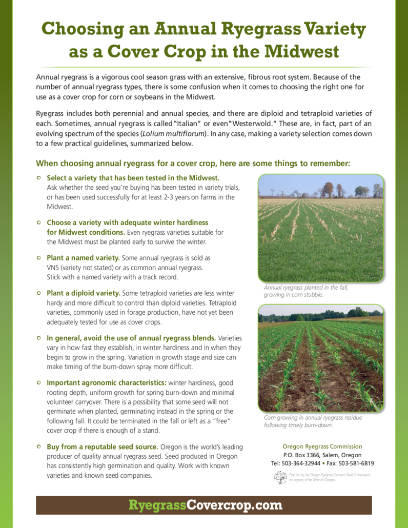 thumbnail of Choosing an Annual Ryegrass Variety as a Cover Crop in the Midwest